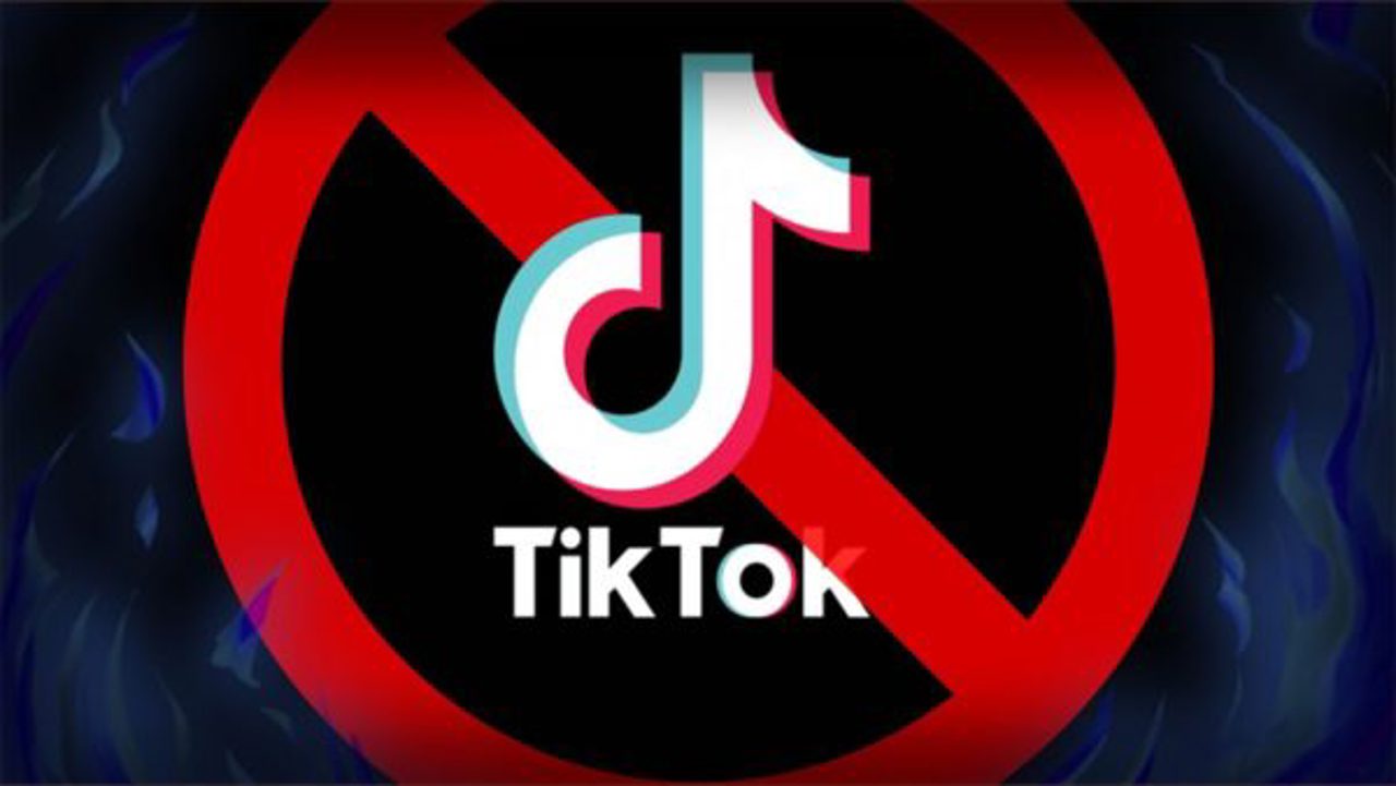 Власти Албании решили запретить в стране TikTok минимум на год