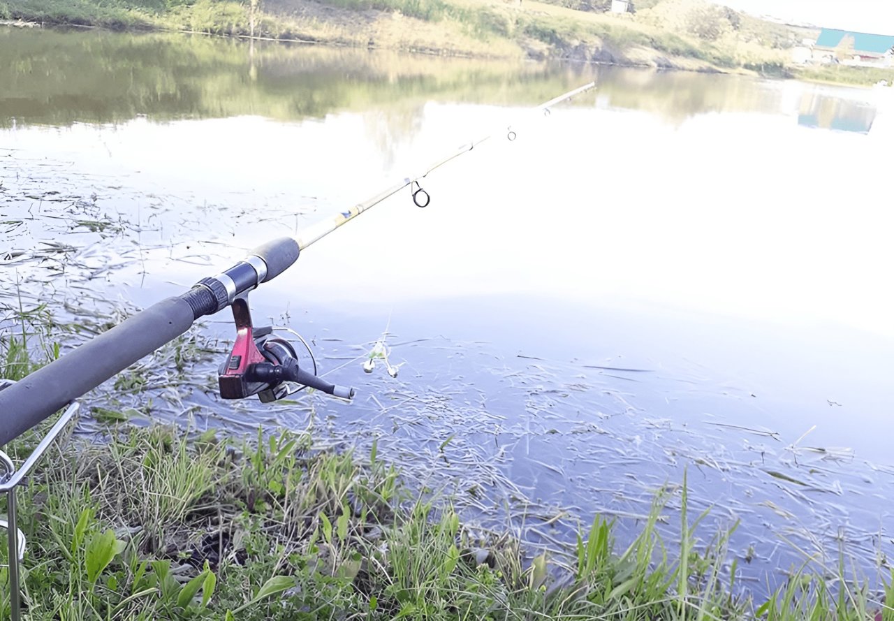 Fishing is prohibited on the Naslavcea–Dubăsari section of the Nistru until April