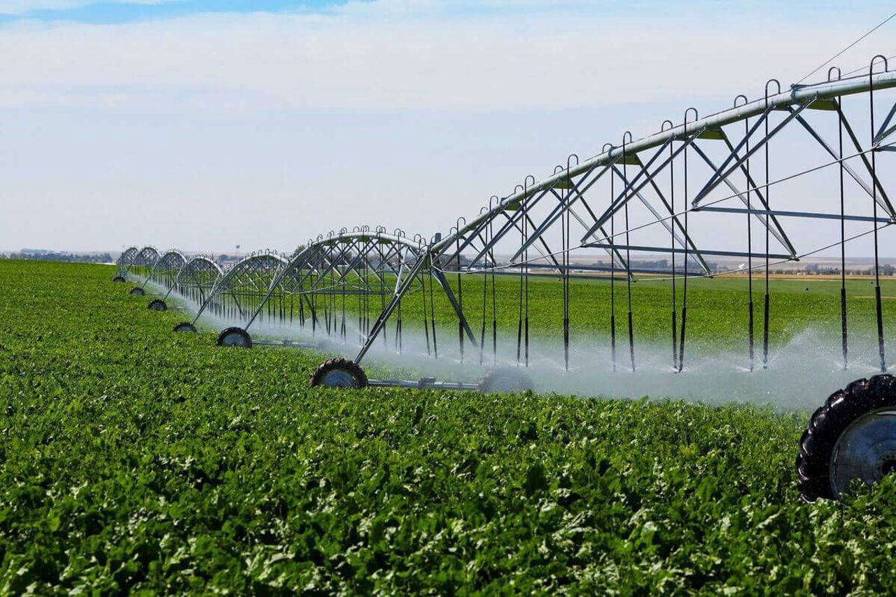 Dezvoltarea sistemului de irigare, o necesitate stringentă pentru agricultura R. Moldova: Țara, dependentă de resursele de apă din exterior  