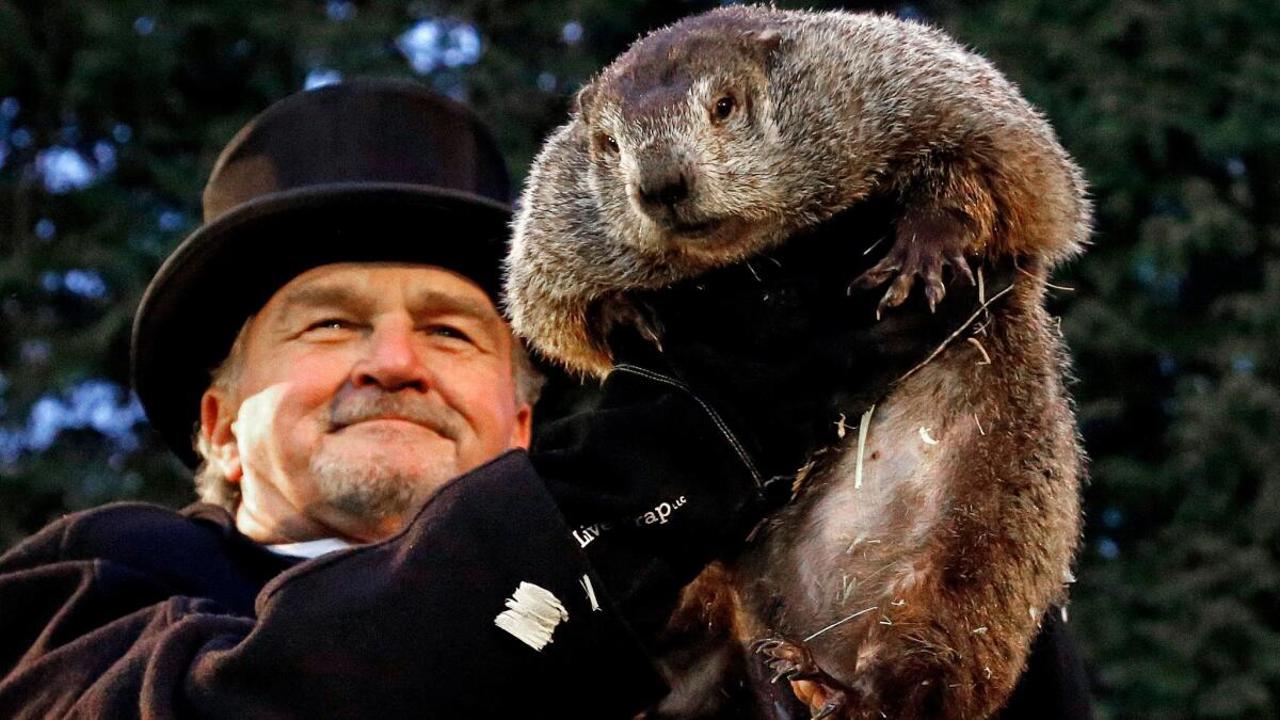 Calendarul Zilei// De 136 de ani, la 2 februarie în SUA este marcată Ziua Cârtiței (Groundhog Day) 