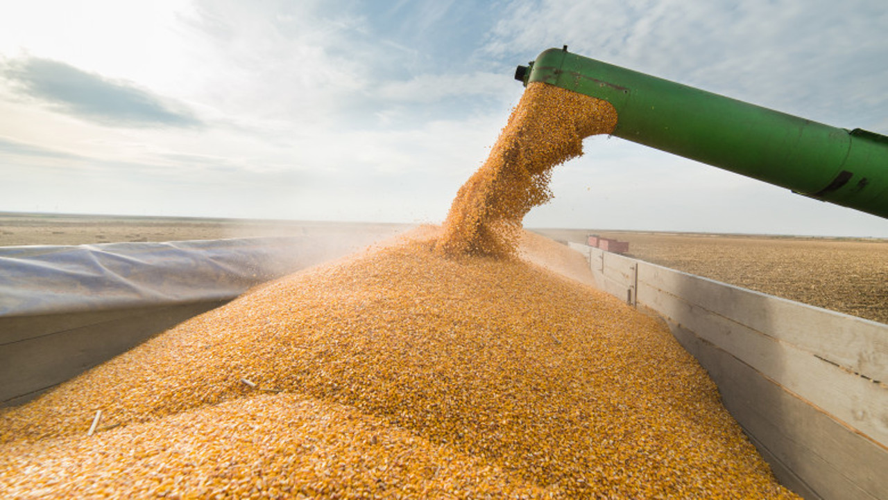 Vicepremierul Bolea: Cerealele ucrainene care vor tranzita R. Moldova spre România vor genera venituri pentru căile ferate