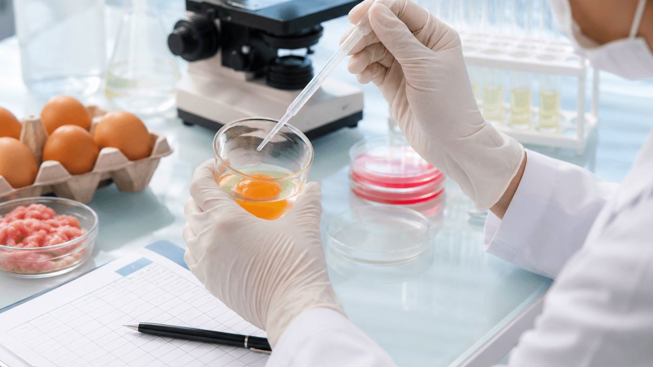 Focar de toxiinfecție alimentară la Chișinău: Șapte persoane infectate cu Salmonella după evenimente organizate într-un hotel renumit din capitală