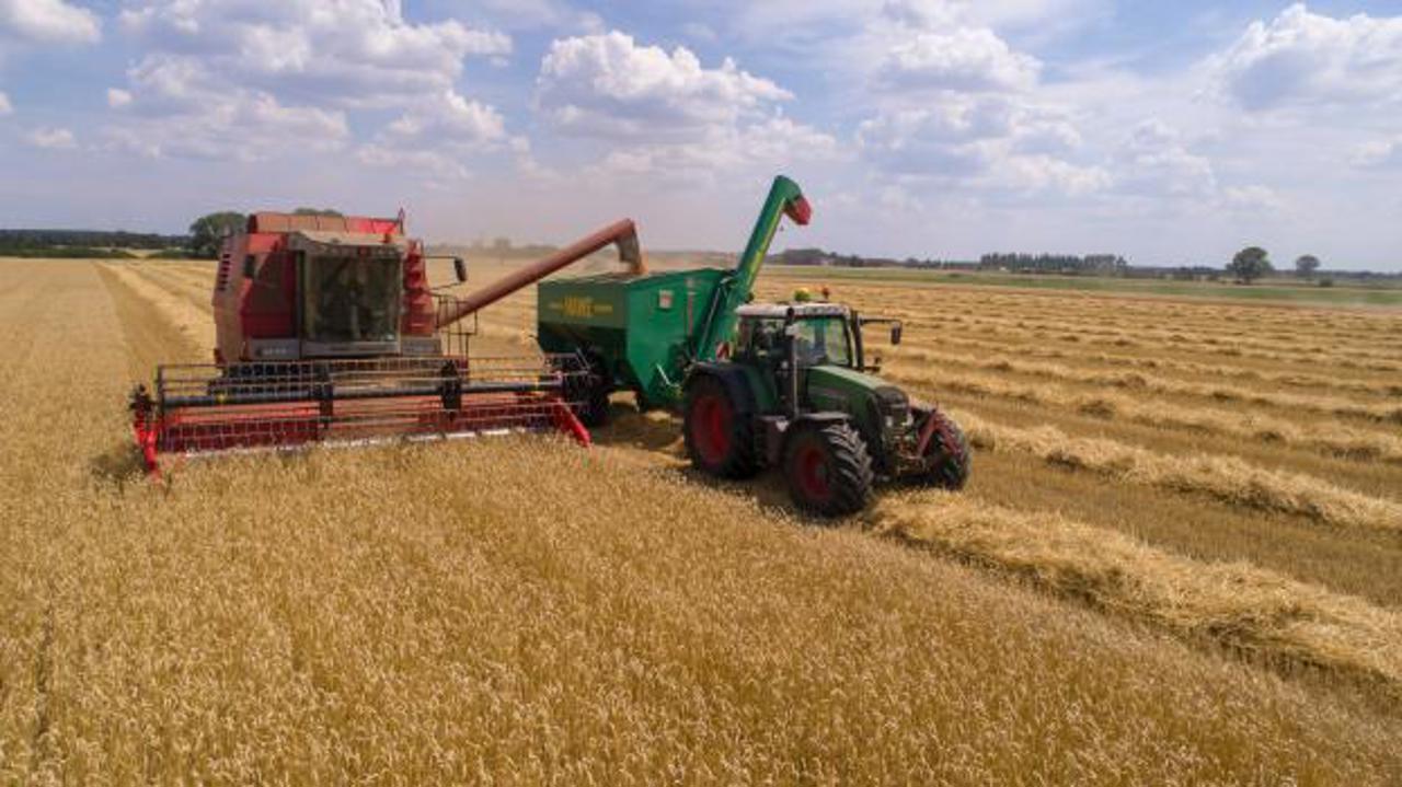 Fermierii cer sprijin de urgență pentru sectorul agricol. Secretar de stat: „Vom examina solicitările”