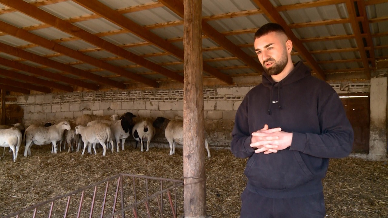Ferma unui tânăr din Vadul-Rașcov, exemplu de succes în satul natal, după nouă ani de studii în Italia