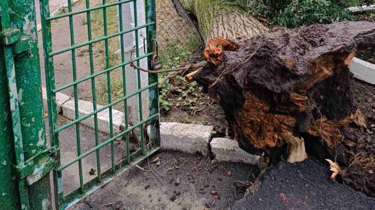 Два человека погибли во время вчерашней грозы