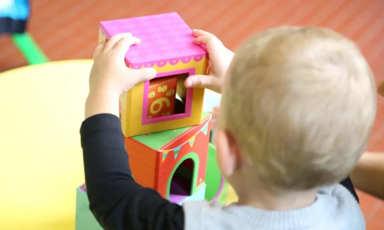 Government approves quality standards for the operation of nurseries