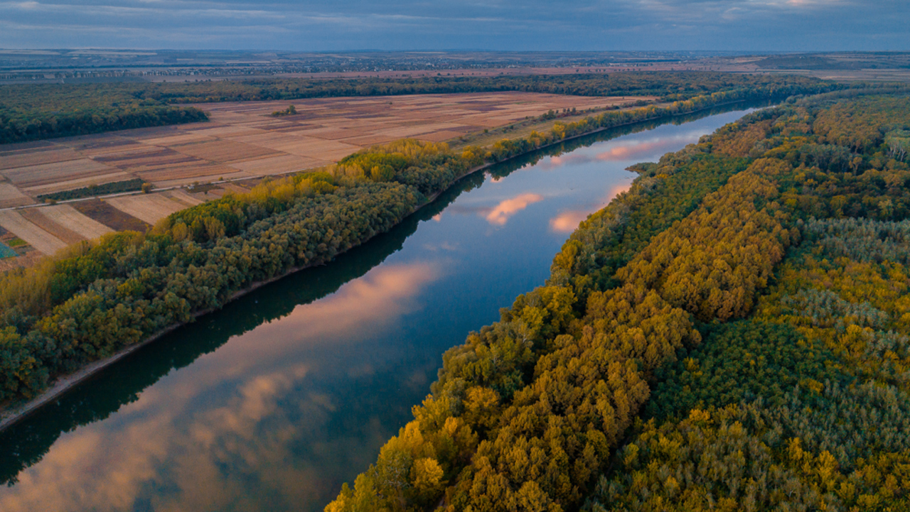 Peste 1.800 ha de pădure, plantate în 15 raioane din bazinul Nistrului, cu sprijinul Băncii Mondiale