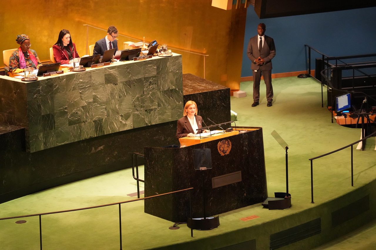 Cazul Ludmilei de la Hâncești, făcut public la ONU: „Am vorbit pentru toate femeile din R. Moldova care trăiesc în violență și suferă în tăcere”