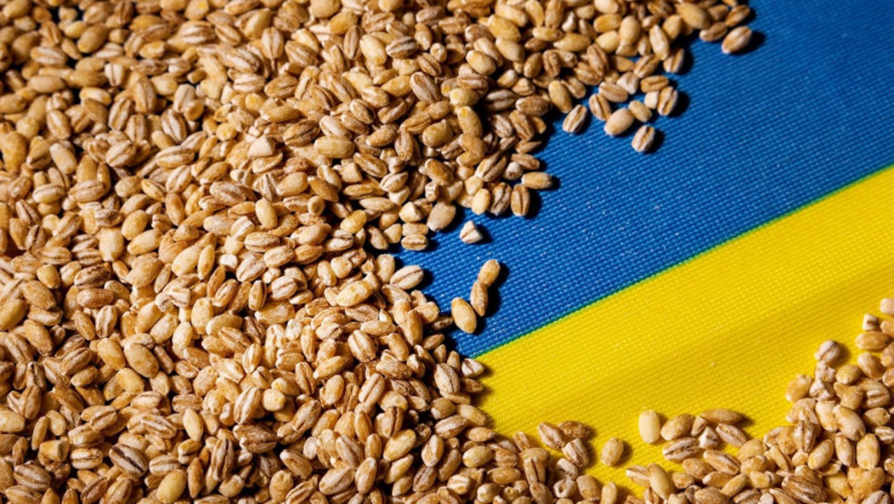 EU to tackle Ukrainian grain dumping