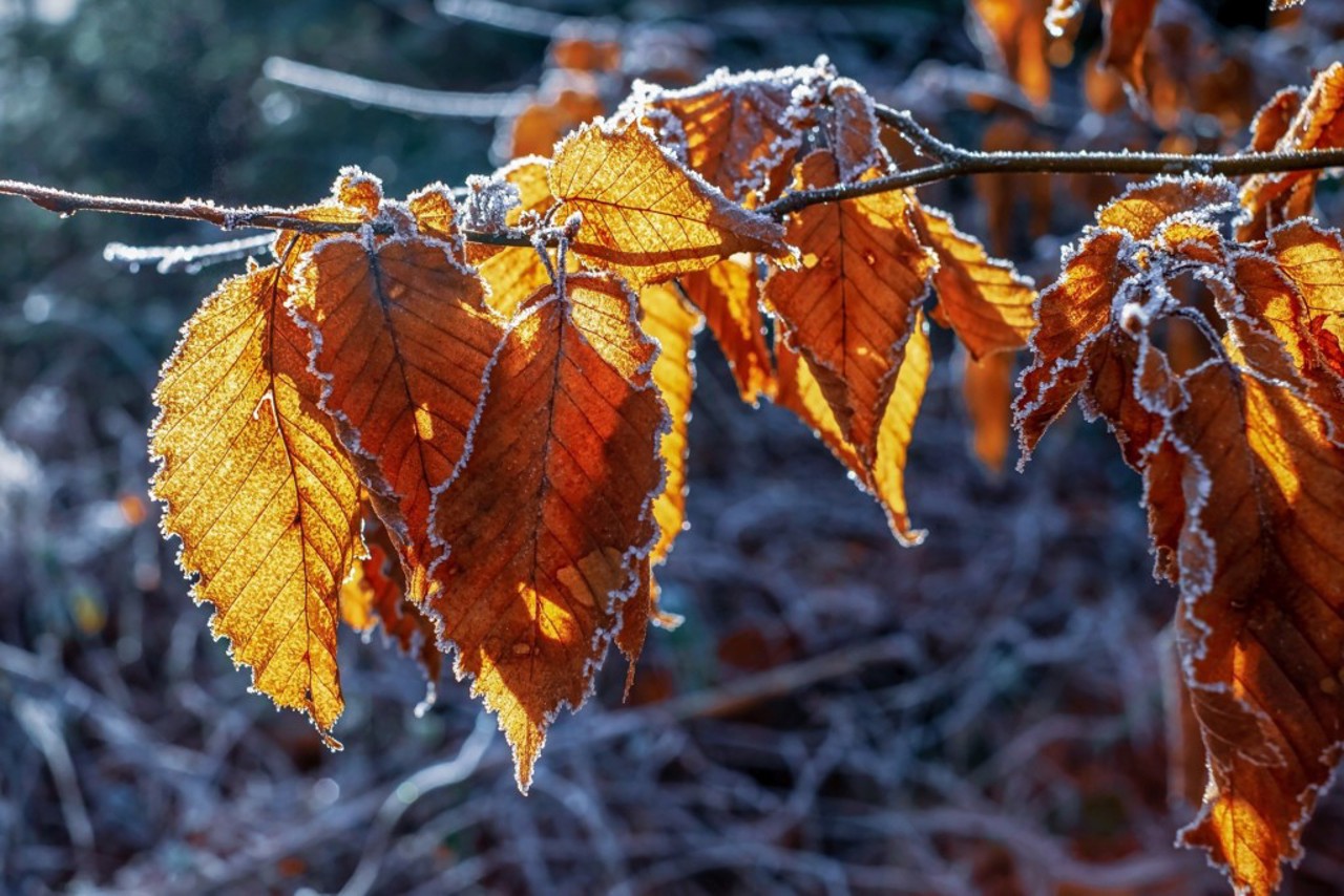 Cod galben de îngheț: Ne așteaptă temperaturi de până la -4 grade Celsius