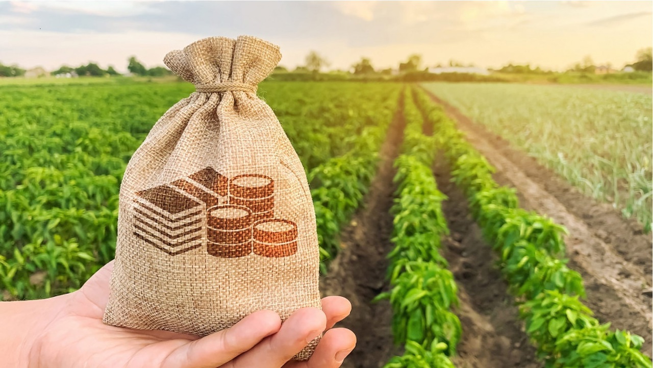 Ministry of Agriculture: The agricultural subsidy fund is to be increased by 624 million lei