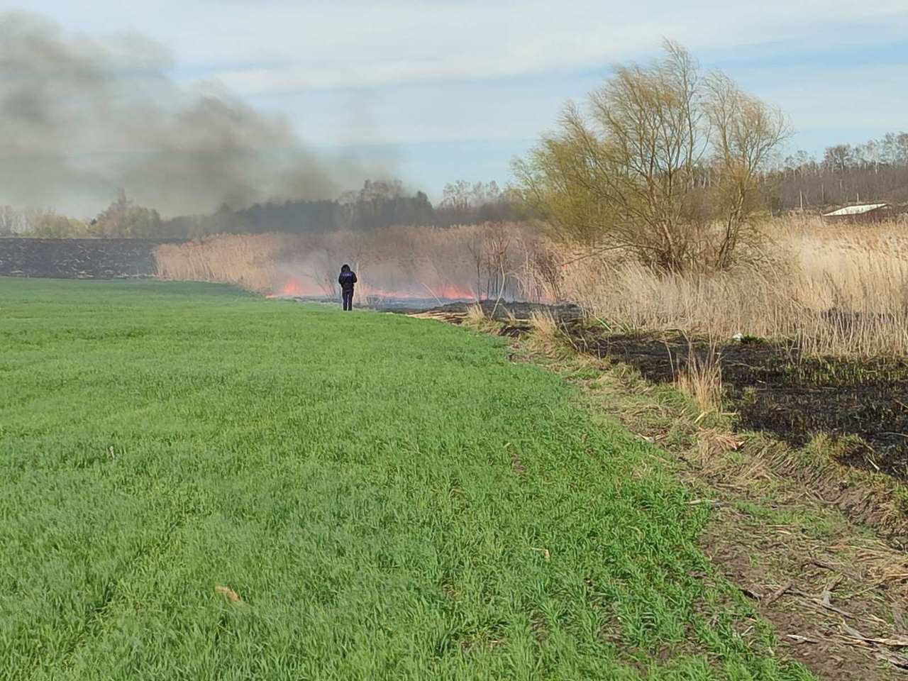 Inspectoratul de Mediu din R. Moldova se confruntă cu o criză de personal și salarii neatractive