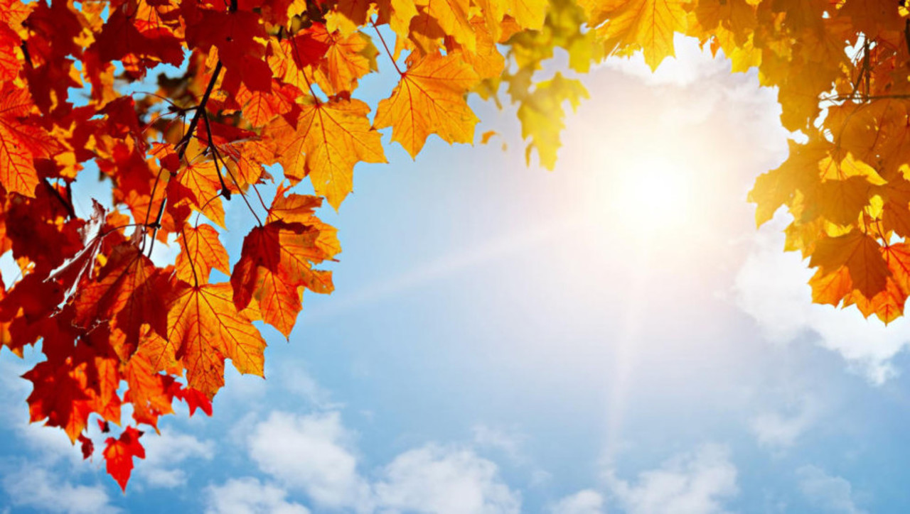 Vremea caldă se va menține până la sfârșitul lunii