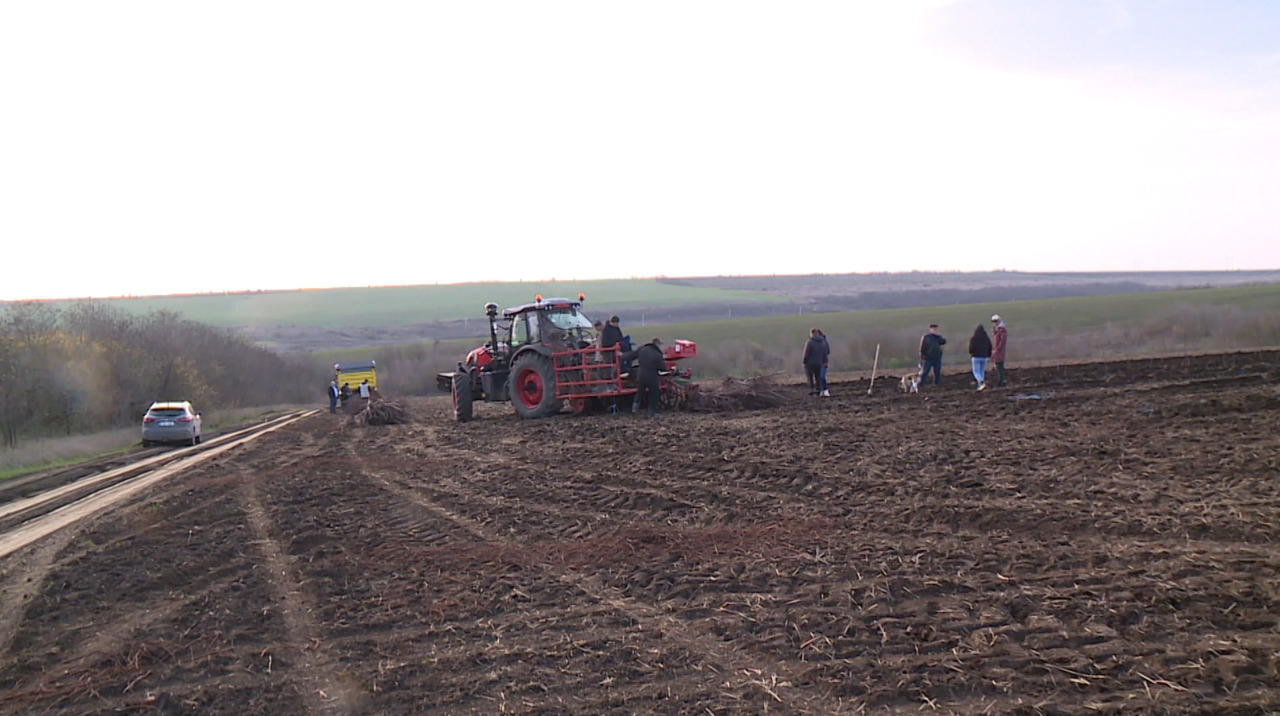 Au ales inovația în agricultură: doi fermieri din Ștefan Vodă mizează pe pomicultură modernă