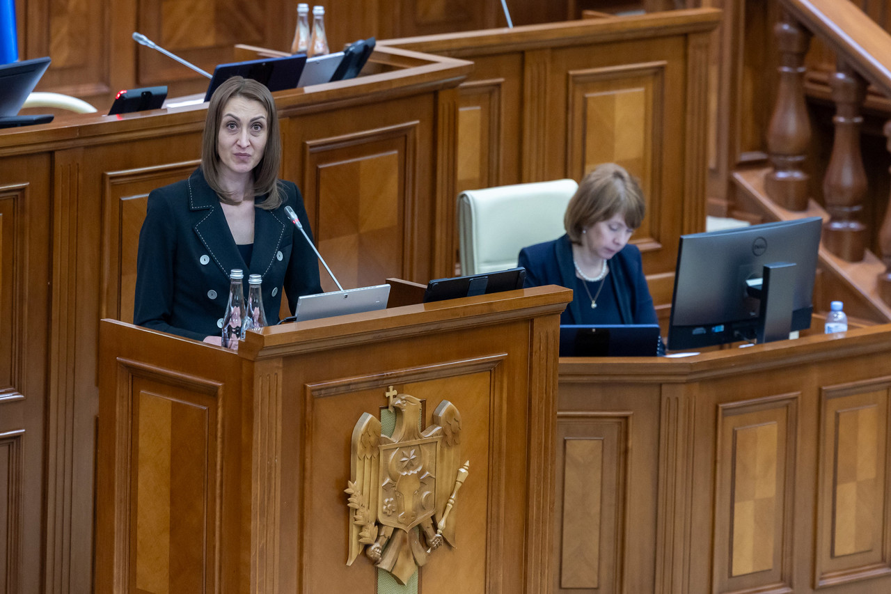 Profil de risc și document unic de identitate: Parlamentul a votat în prima lectură legea privind șederea străinilor