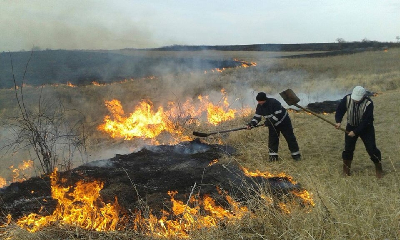 România: Numărul incendiilor de vegetație a crescut 