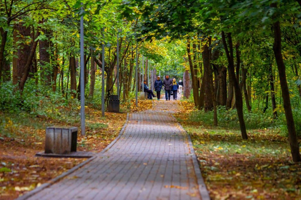 Vin frigurile: Minimele nocturne vor oscila între 2 și 7 grade Celsius