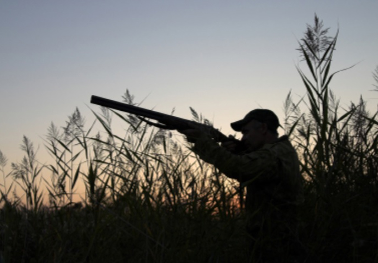 În 2022, cazurile de braconaj s-au majorat