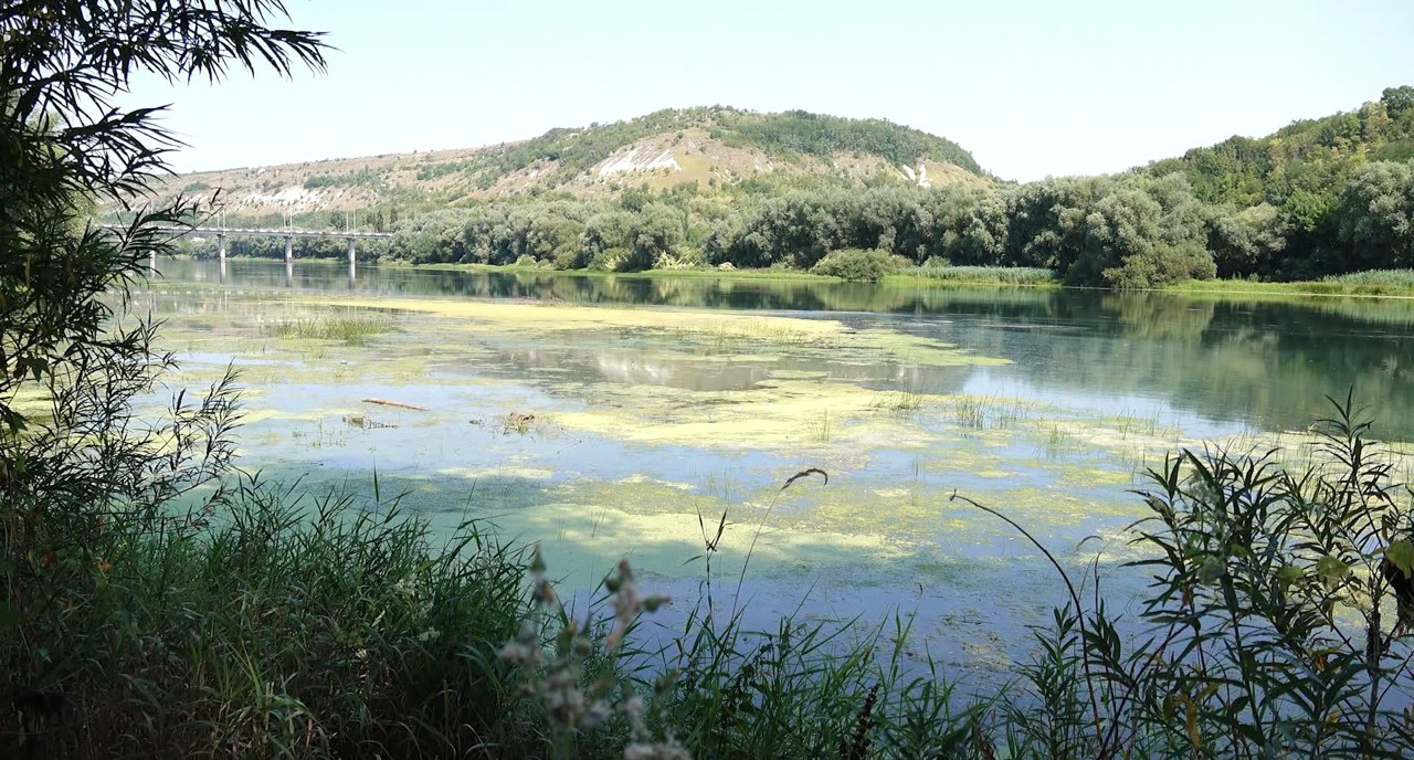 Nistrul se usucă sub ochii localnicilor: În unele zone fluviul poate fi trecut pe jos, iar apa a fost înlocuită de vegetație