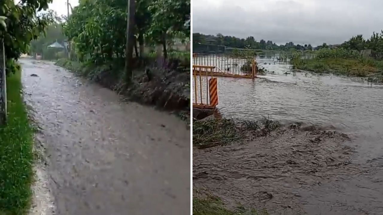 Captură video