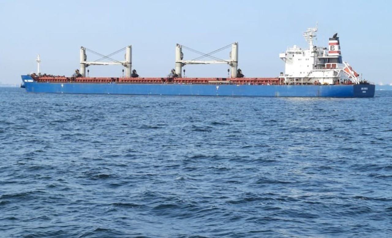 Ukraine cargo ships depart via humanitarian corridor