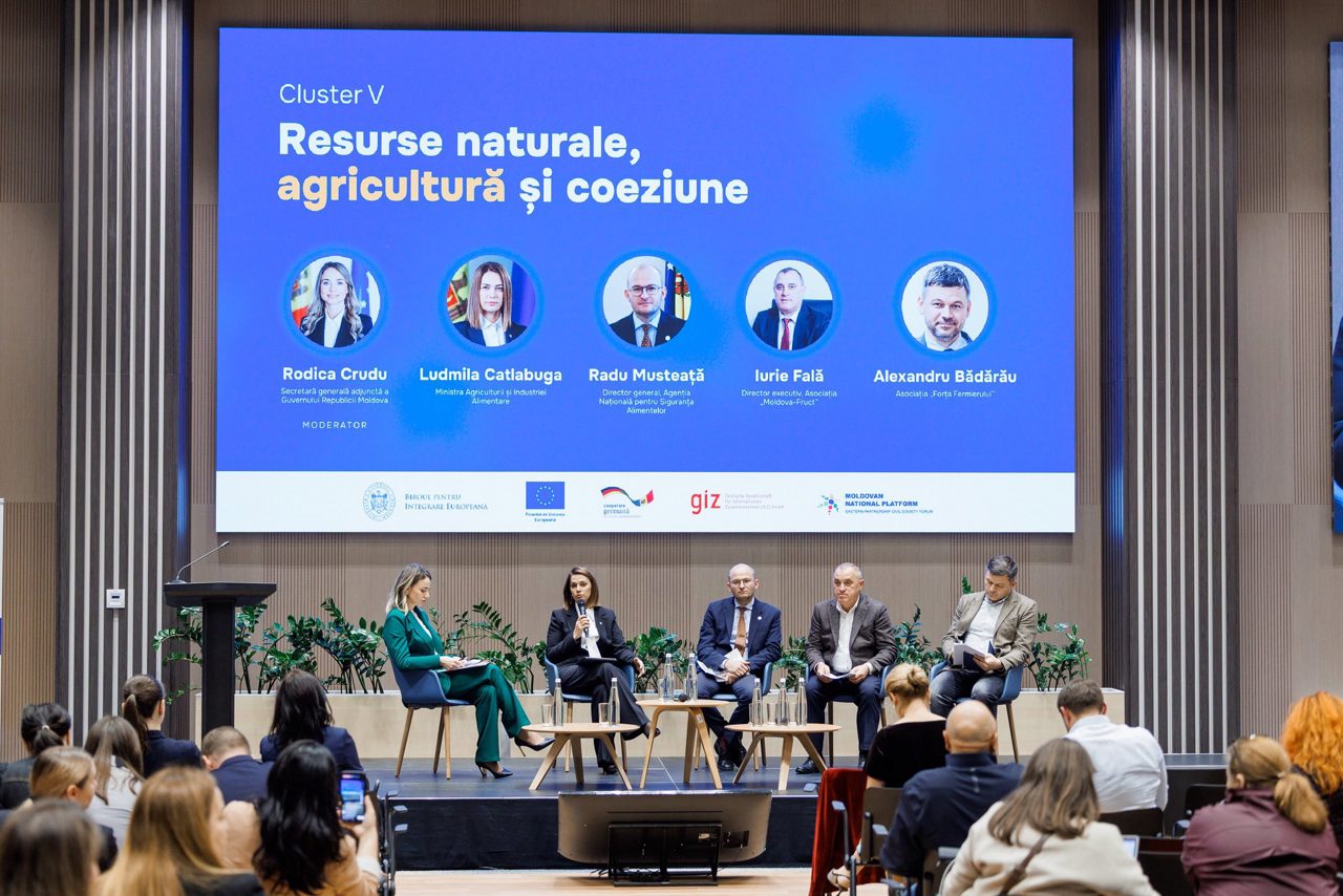„Cooperativele sunt cheia”: cum pot cuceri agricultorii din R. Moldova piața europeană