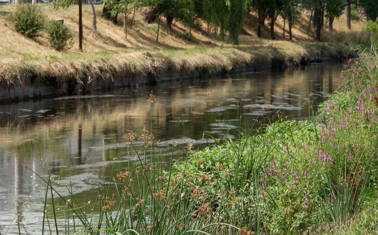 Râul Bâc, din nou în centrul controversei: Ce spun ecologiștii și Primăria Chișinău