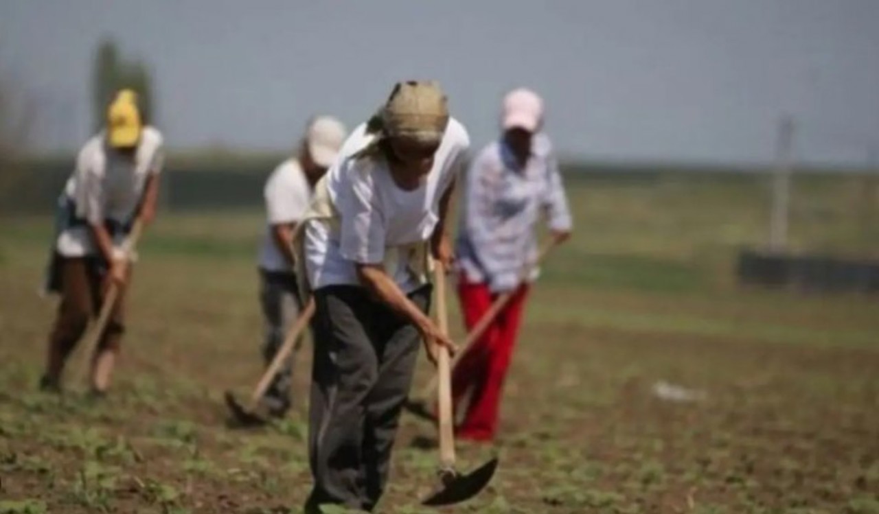 Peste 3.000 de persoane care munceau „la negru”, depistate de Inspectoratul de Stat al Muncii, de la începutul anului 