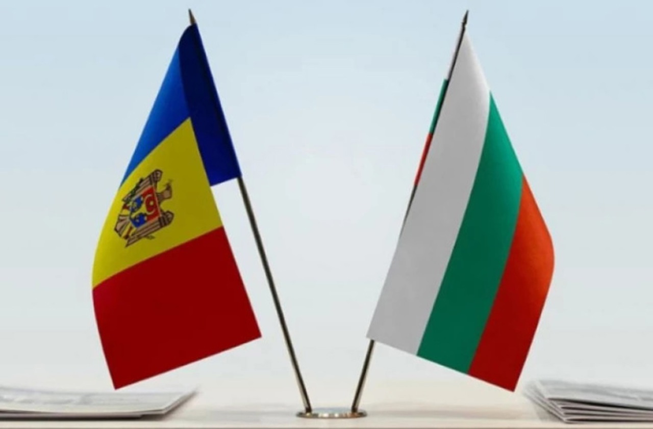 Exports of sunflower oil boost Moldova-Bulgaria trade