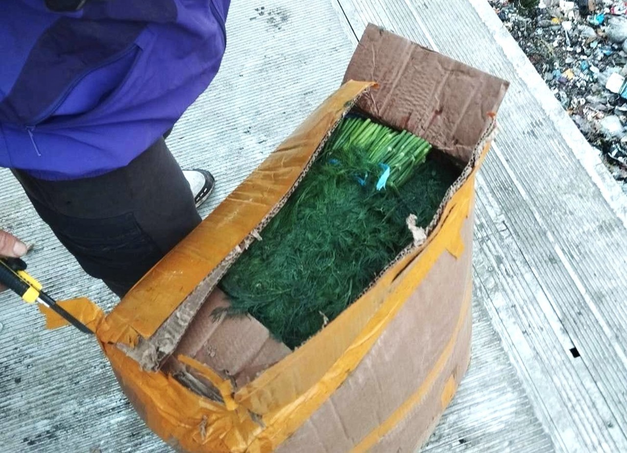 Încă un lot de mărar cu depășiri de pesticide, retras din depozitul importatorului 