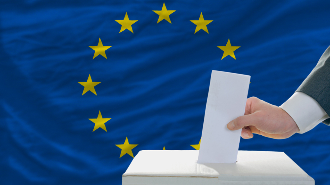 Alegeri europarlamentare// Dan Alexe: Orice vot al moldovenilor cu cetățenie română este important 