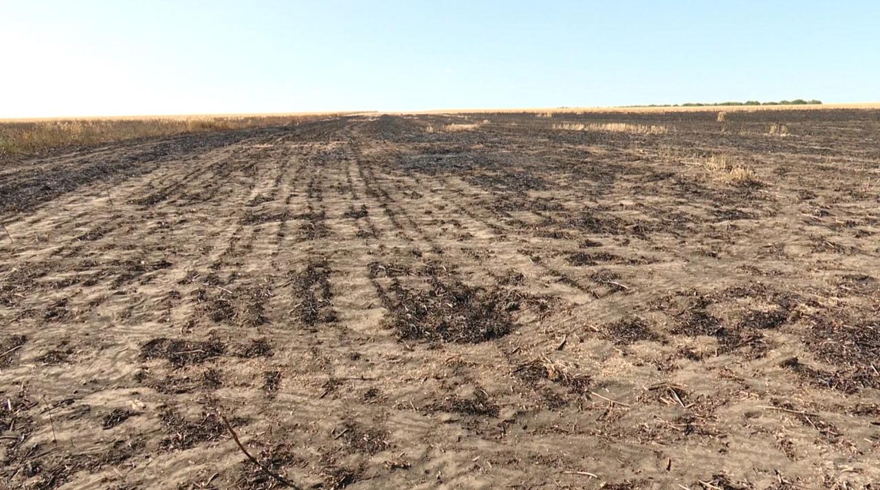 Zeci de hectare distruse de flăcări la Cimișlia. Cauza incendiului, necunoscută