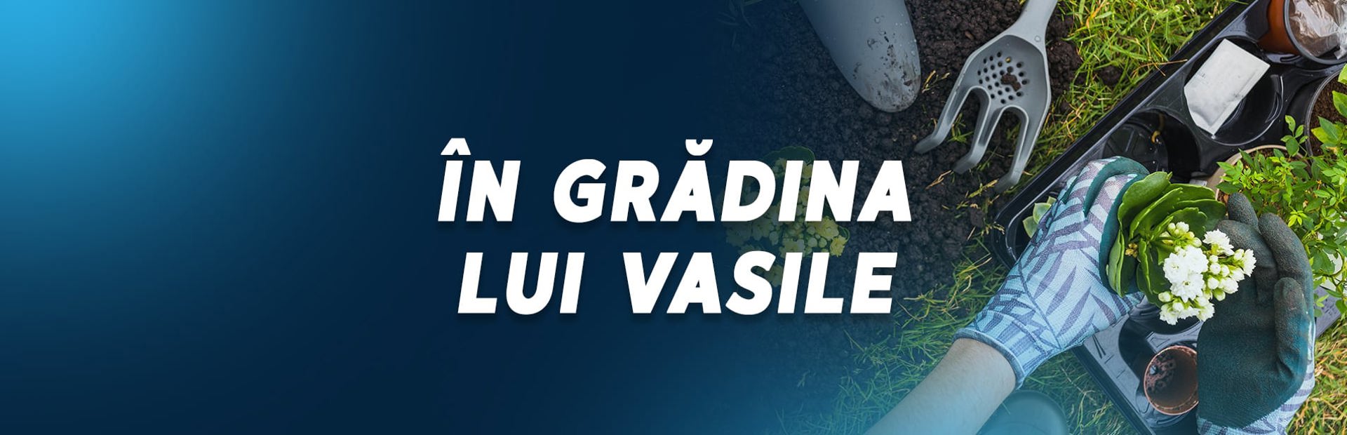 În grădina lui Vasile