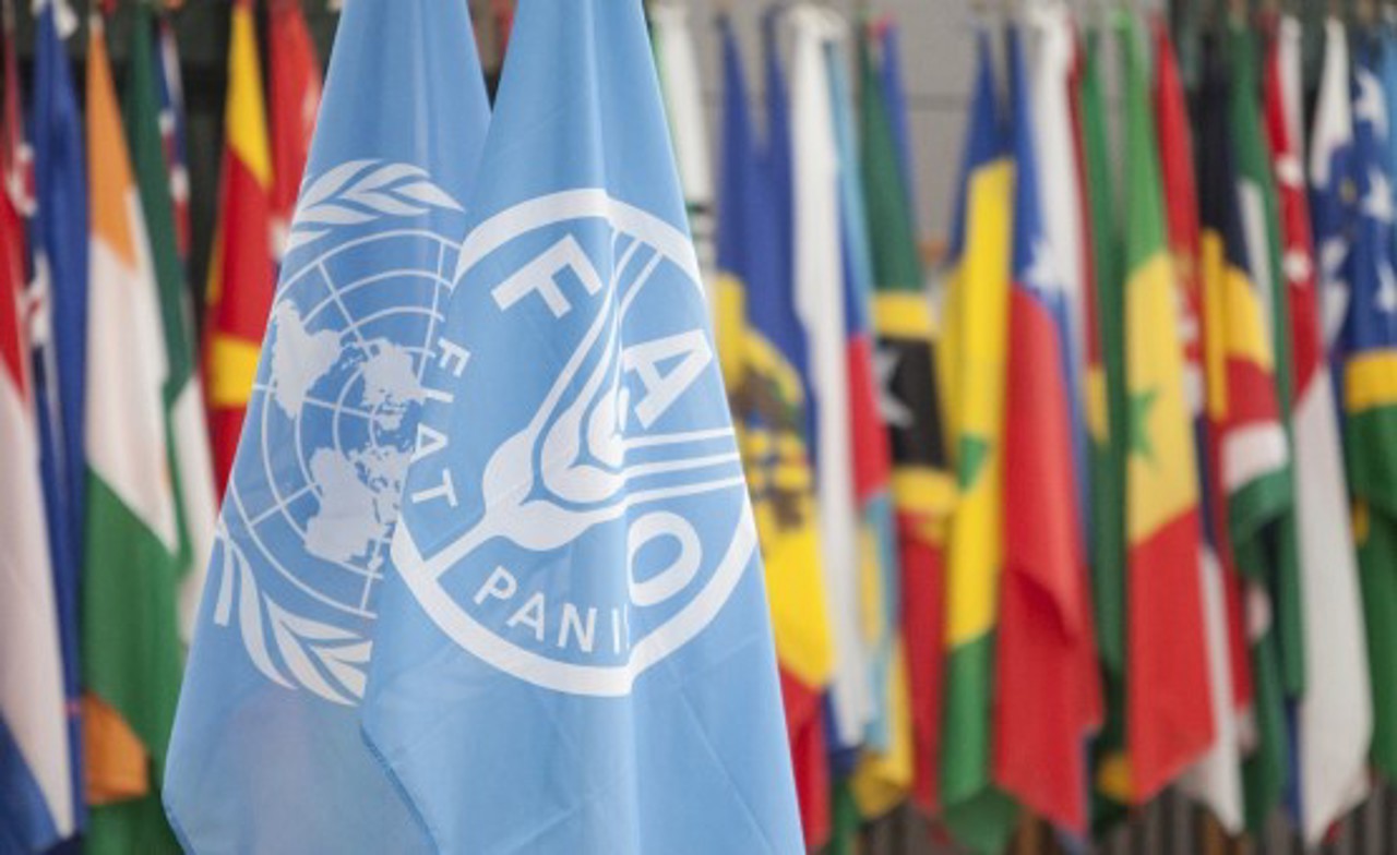 Vladimir Bolea attends the FAO regional conference in Rome