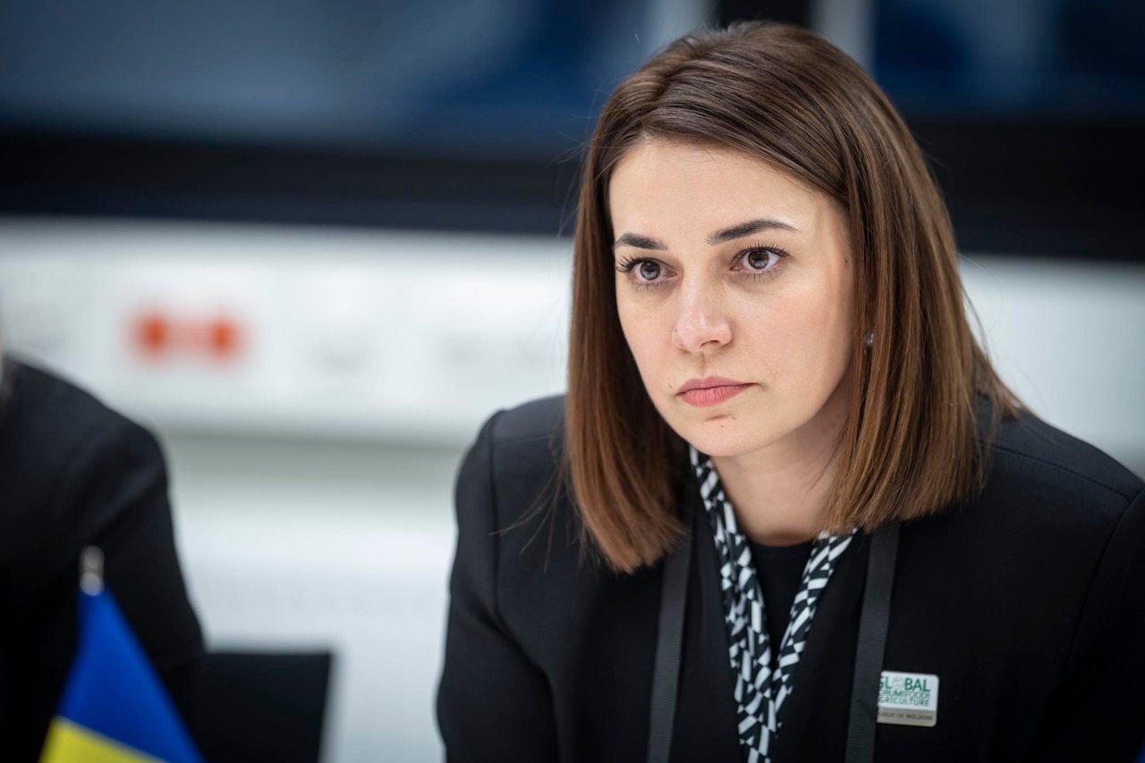 Deficitul de carne de pasăre, acoperit prin importuri din alte state și producție internă. Catlabuga: Prețurile nu pot fi estimate deocamdată