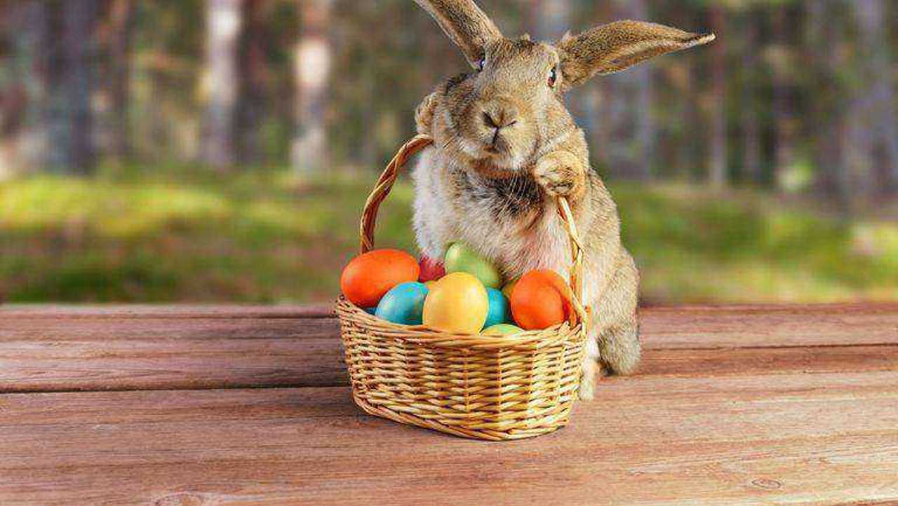 К старым пасхальным традициям, почитаемым в Республике Молдова, недавно добавились новые