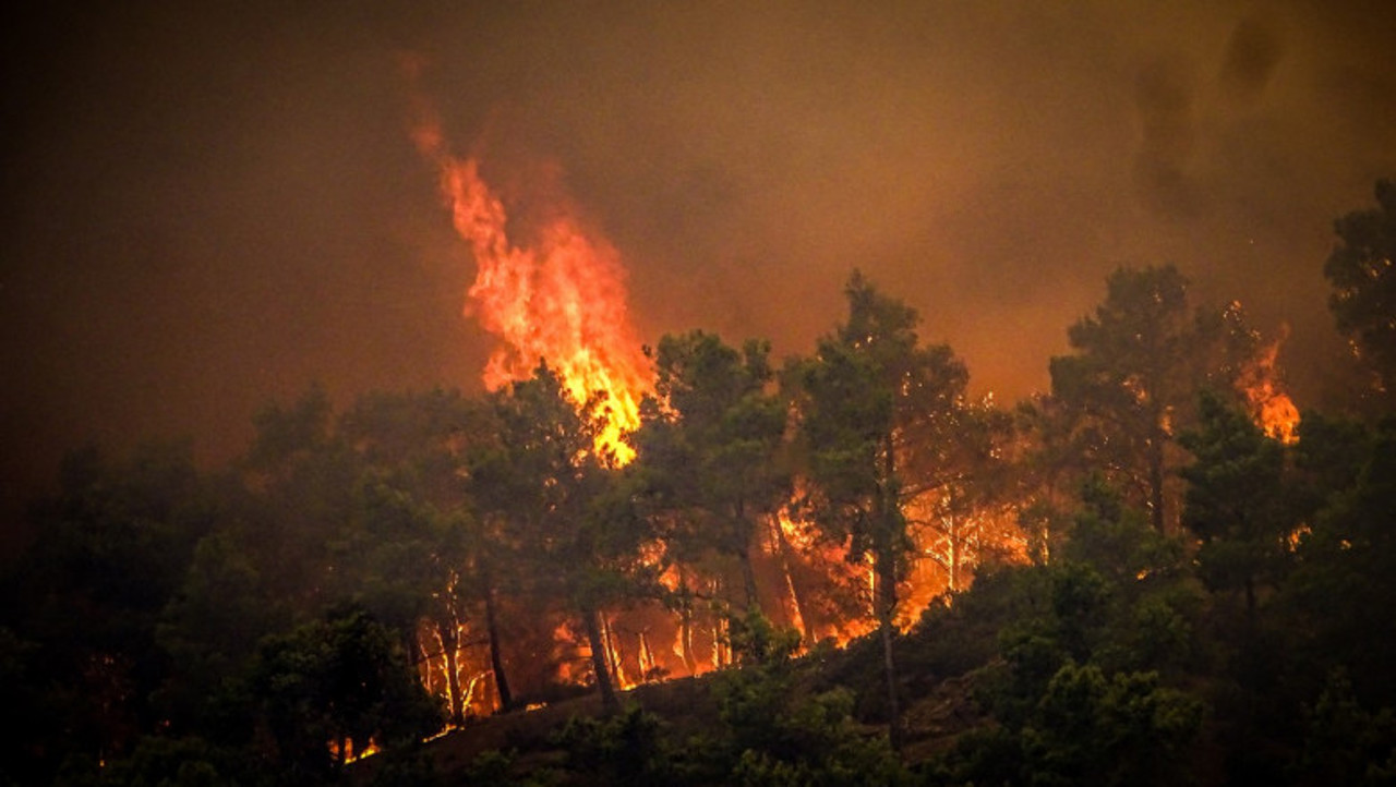 Greece evacuates thousands of tourists in Rhodes as wildfire burns