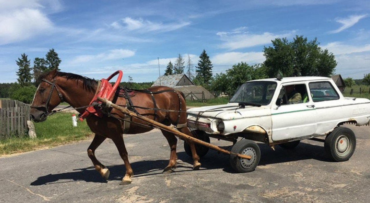 Biciclete și cai, alternative la automobile în Rusia, pe fondul crizei combustibililor