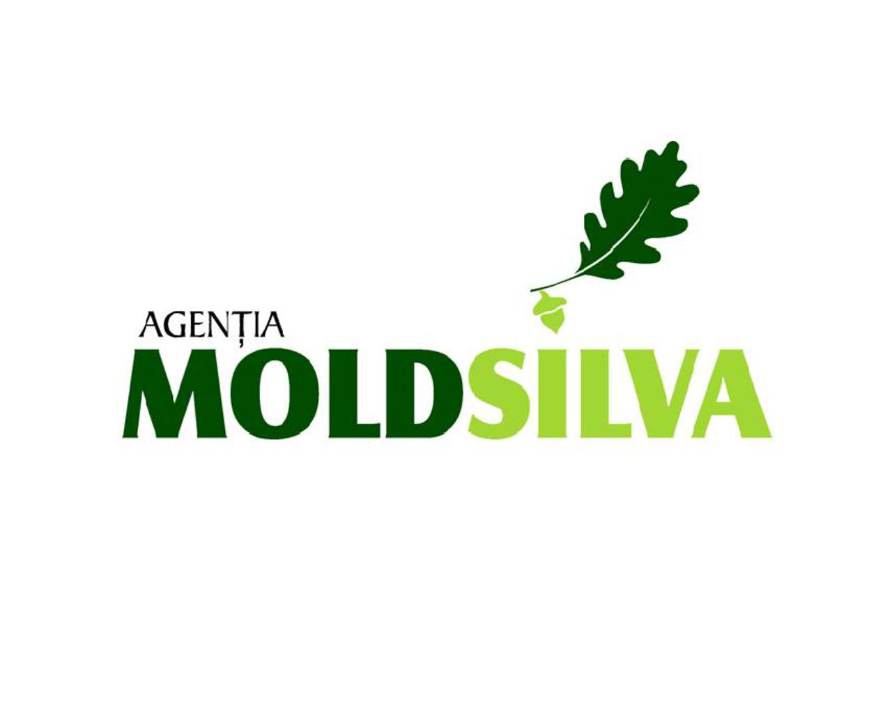 Director of Moldsilva resigns