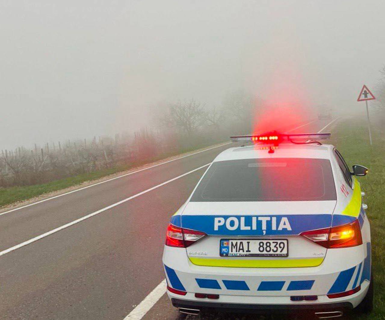 Drivers alert: fog is disrupting traffic on several road sections