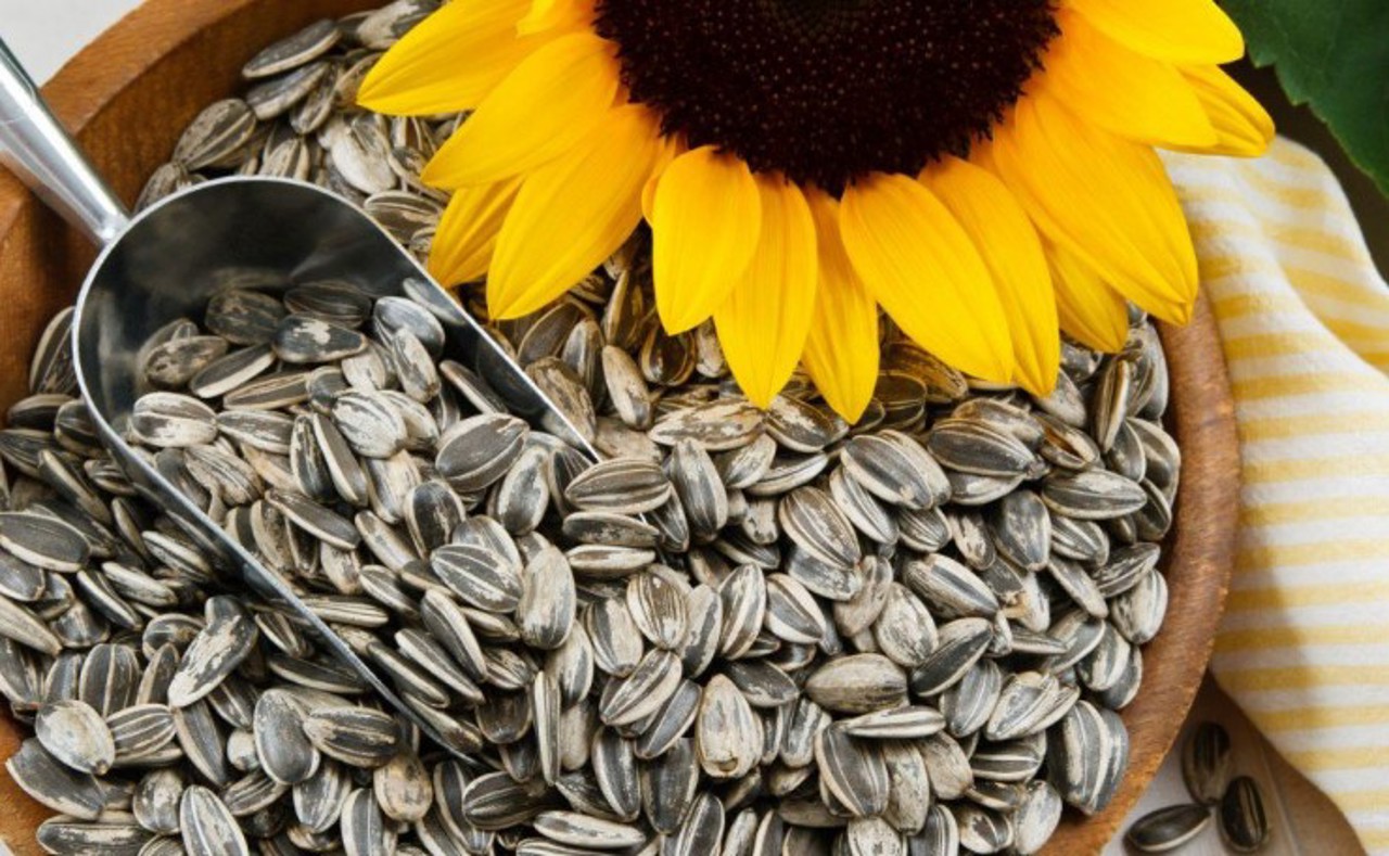Moldova Imports Sunflower Seeds to Prevent Oil Price Hike